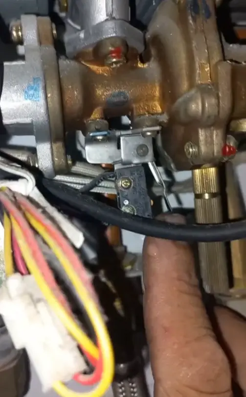 Microswitch e palheta da armadura de água de um aquecedor a pilha